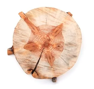 Isolated Tree Stump Stock Photos