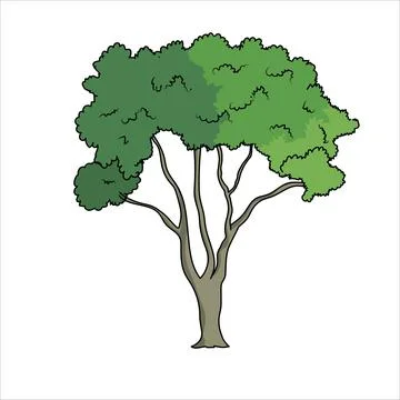 Isolated Tree Vector illustation Stock Illustration