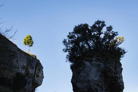 Isolated Trees on Dramatic Cliffs Stock Photos