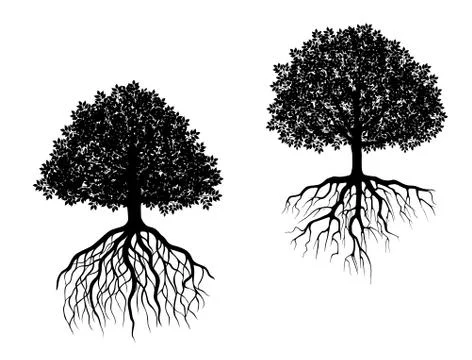 Isolated trees with roots Stock Illustration