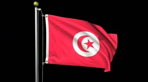 Isolated Tunisia Stock Footage 486786