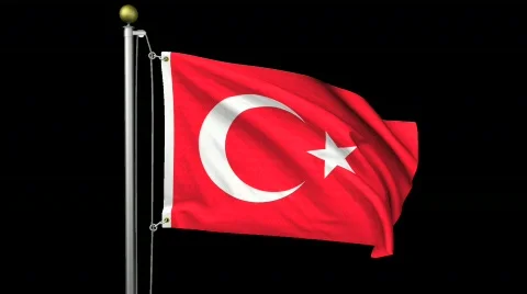 Isolated Turkey Stock Footage 458928