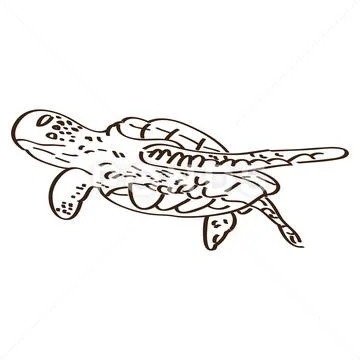 Isolated turtle outline Stock Illustration