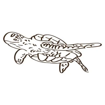 Isolated turtle outline 스톡 일러스트