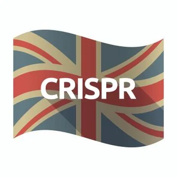 Isolated UK flag with  the clustered regularly interspaced short palindromic  Stock Illustration
