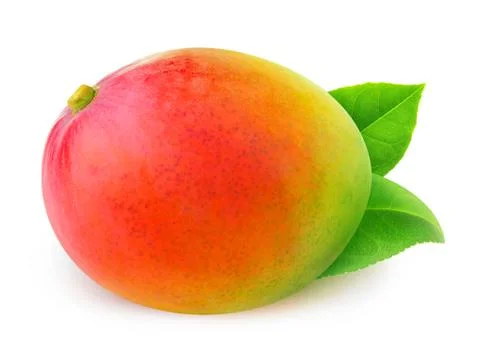 Isolated uncut mango Stock Photos