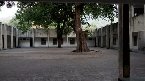 Isolated vacant building with big tree at the center at day from flat angle Stock Footage 278470484