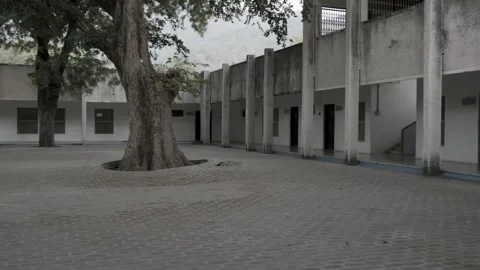 Isolated vacant building with big tree at the center at day from flat angle Stock Footage 278471467