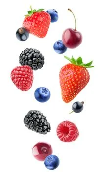 Isolated various berries Stock Photos