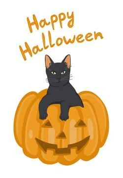 Isolated vector element. A black cat and a pumpkin. Happy Halloween. Stock Illustration