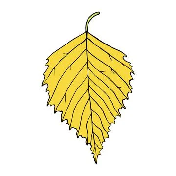 Isolated vector illustration of birch leaf in cartoon style Illustrazione stock