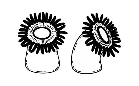 Isolated vector illustration sea anemone-1 Stock Illustration