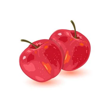 Isolated vector image shows red green apples with leaves Stock Illustration