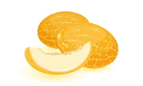 Isolated vector image shows ripe orange melon with slice Stock Illustration