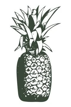 Isolated vector pencil sketch of pineapple Stock Illustration