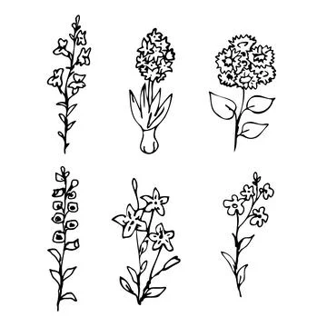 Isolated vector plants Stock Illustration