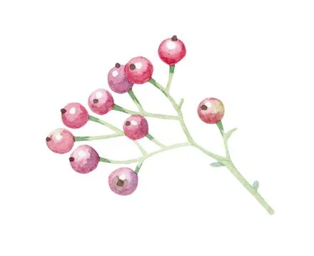 Isolated vector Yellow, pink flower and leaf wedding decoration Stock Illustration