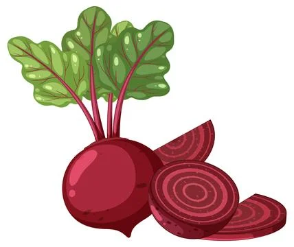Isolated vegetable beetroot cartoon Stock Illustration