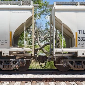 Isolated view of coupling area of two cars framing 2 fallen trees Foto stock