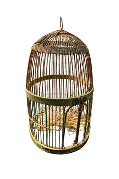 Isolated view of an empty antique wire birdcage with a rustic, weathered pat Fotos de archivo