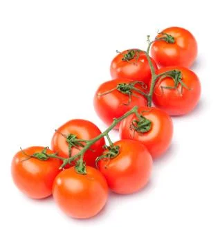 Isolated vine tomatoes Stock Photos