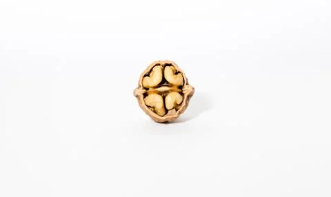 Isolated Walnut Foto stock