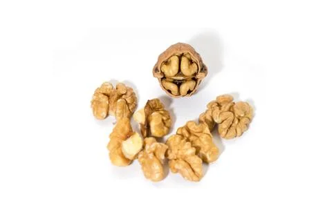 Isolated Walnut Stock-Fotos