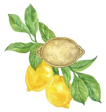 Isolated watercolor element. Composition with lemons, leaves and a tag. Stock Illustration