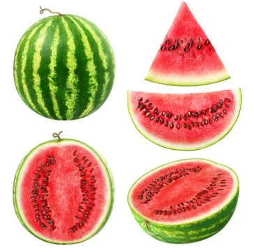 Isolated watermelon collection Stock Photos