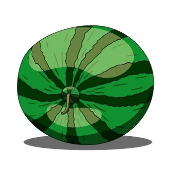 Isolated watermelon on white background Stock Illustration