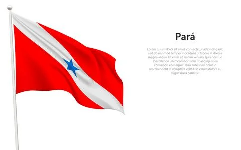 Isolated waving flag of Para is a state Brazil Stock-Illustration