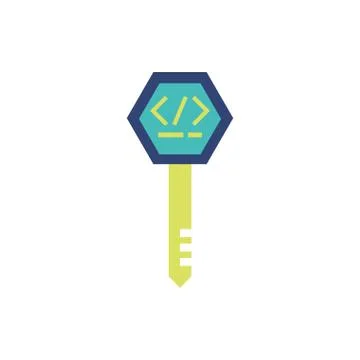 Isolated website code inside key vector design Stock-Illustration