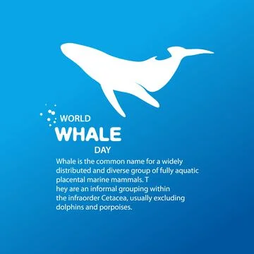 Isolated whale vector illustration. Ocean mammal on the blue background image. Illustrazione stock