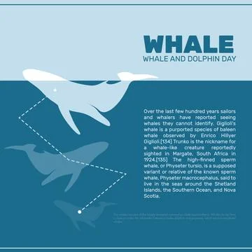 Isolated whale vector illustration. Ocean mammal on the blue background image. 스톡 일러스트