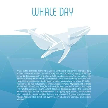 Isolated whale vector illustration. Ocean mammal on the blue background image. 스톡 일러스트