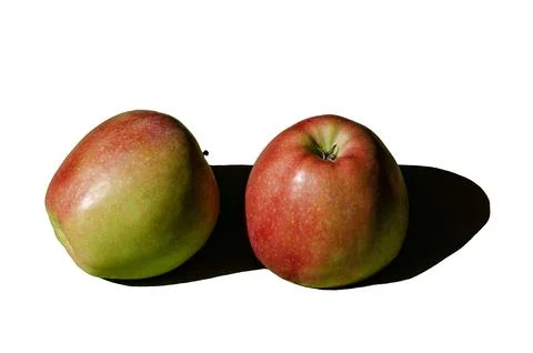 Isolated on white background large two red apples with green spots placed on  Stock Photos