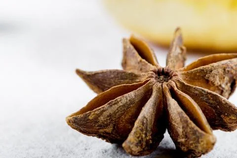 Isolated on a white background Stock Photos