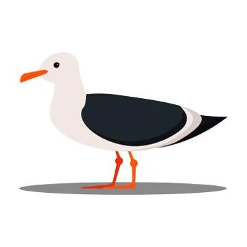 Isolated on white background seagull flat design icon, Cartoon style vector i Stock Illustration