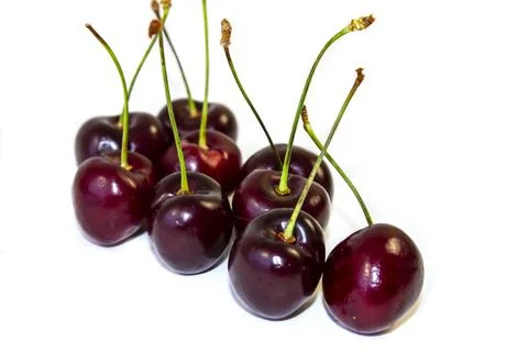 Isolated on White Cherry Background Stock Photos