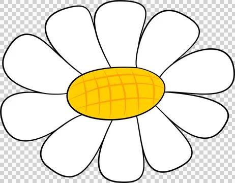 Isolated white daisy flower Stock-Illustration