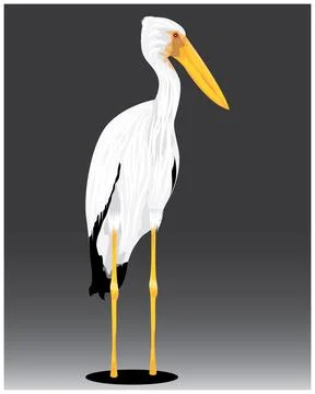 Isolated white heron vector design Stock Illustration