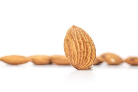 Isolated on white Stock Photos