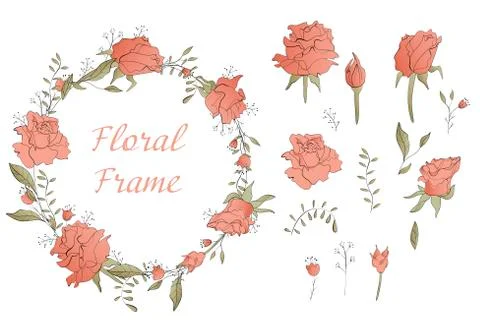 Isolated on white roses Stock Illustration