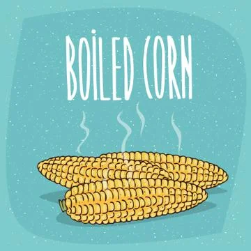 Isolated whole boiled corn ears with hot steam Stock Illustration