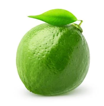 Isolated whole lime fruit. Single lime fruit with leaf isolated of white Stock Photos