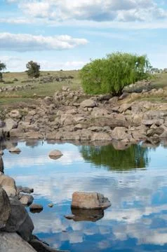 Isolated willow tree by a clear reflective creek Foto stock