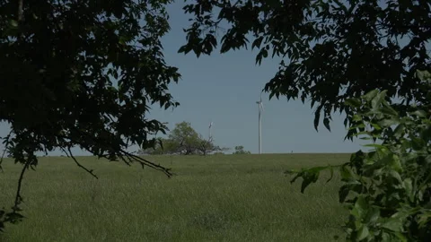 Isolated wind turbine through the trees in green Texas, 4K. Stock Footage 241544990
