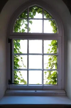 Isolated Window Surrounded By Foliage Stock Photos