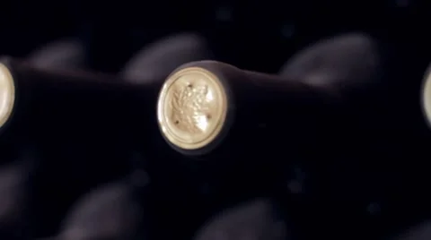 Isolated wine bottles Stock Footage 7901372