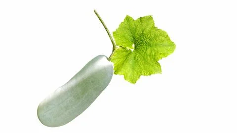 Isolated winter melon with green leaf on white background. Stock Photos